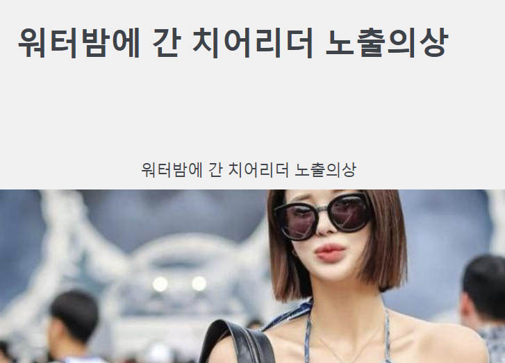 워터밤에 간 치어리더 노출의상