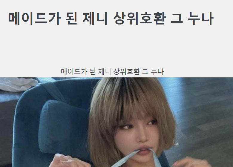 메이드가 된 제니 상위호환 그 누나