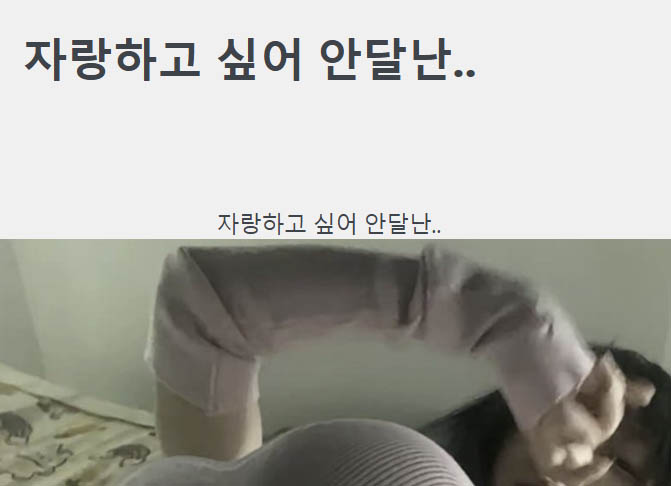 자랑하고 싶어 안달난..