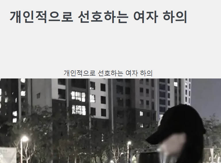 개인적으로 선호하는 여자 하의