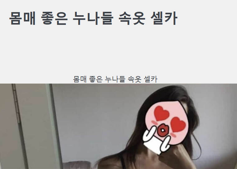 몸매 좋은 누나들 속옷 셀카