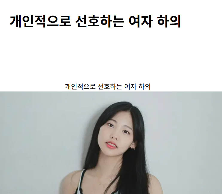 개인적으로 선호하는 여자 하의