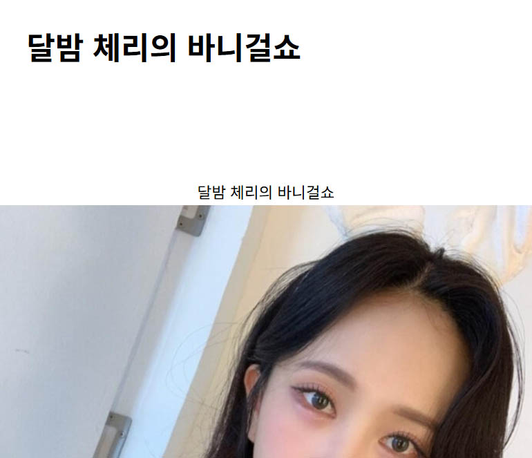 달밤 체리의 바니걸쇼