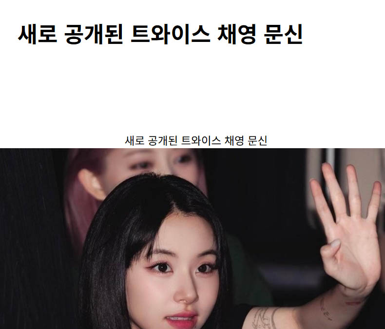 새로 공개된 트와이스 채영 문신