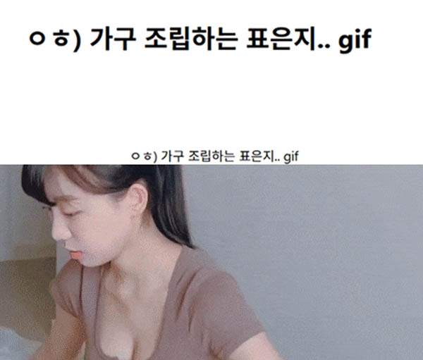 ㅇㅎ) 가구 조립하는 표은지.. gif