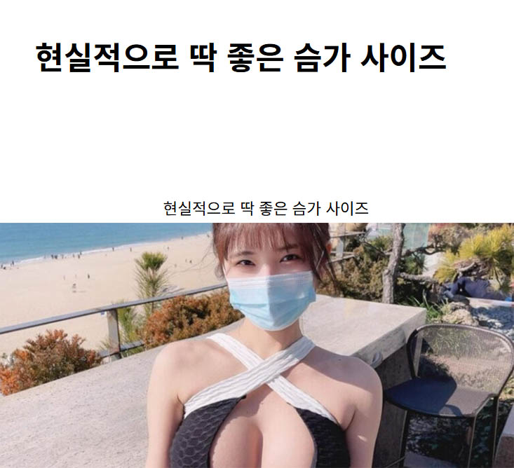 현실적으로 딱 좋은 슴가 사이즈