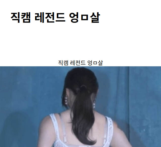 직캠 레전드 엉ㅁ살