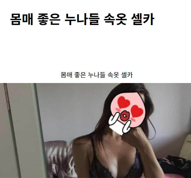 몸매 좋은 누나들 속옷 셀카
