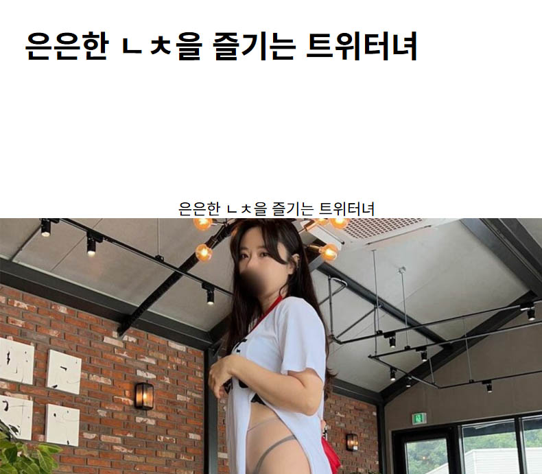 은은한 ㄴㅊ을 즐기는 트위터녀
