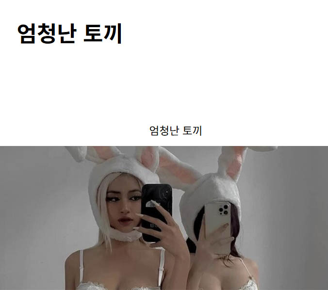 엄청난 토끼