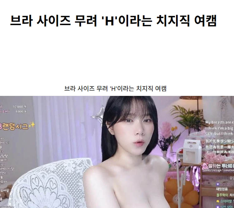 브라 사이즈 무려 ‘H’이라는 치지직 여캠