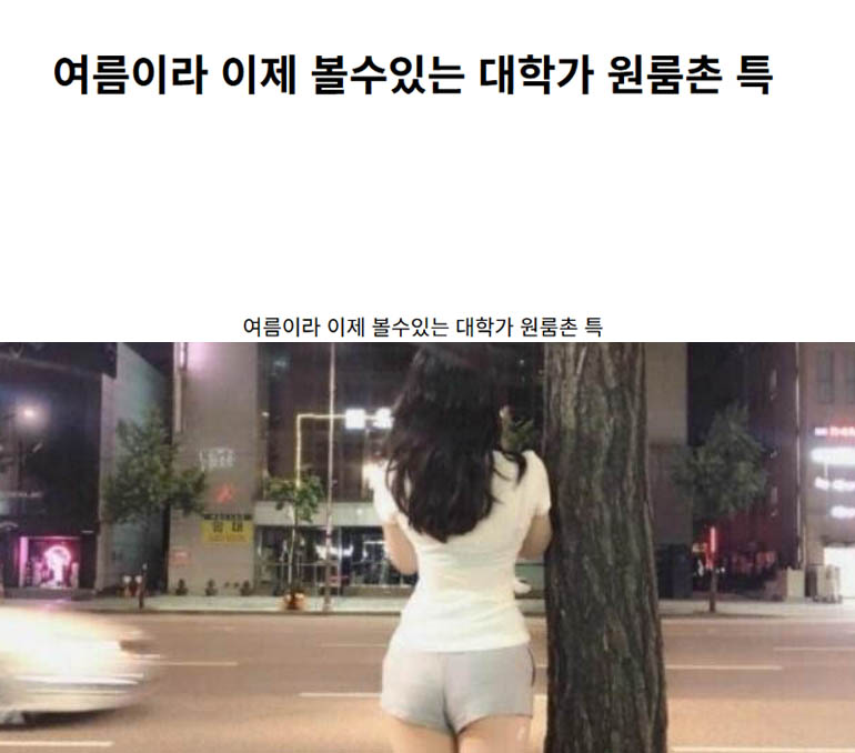 여름이라 이제 볼수있는 대학가 원룸촌 특