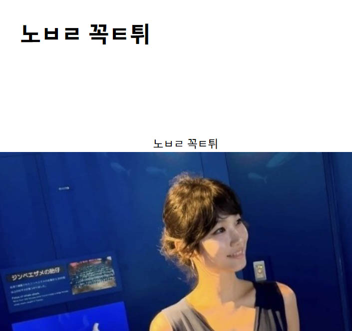 노ㅂㄹ 꼭ㅌ튀