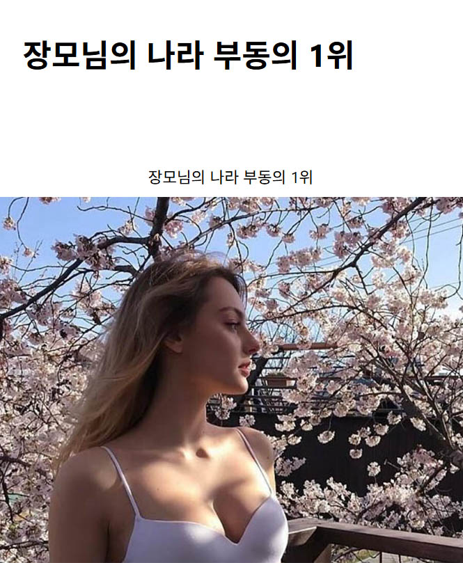 장모님의 나라 부동의 1위