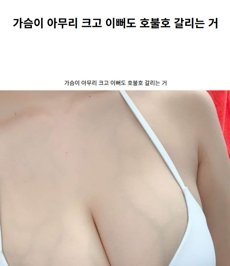 가슴이 아무리 크고 이뻐도 호불호 갈리는 거