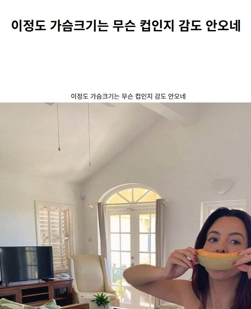 이정도 가슴크기는 무슨 컵인지 감도 안오네