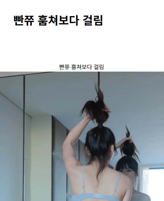 빤쮸 훔쳐보다 걸림