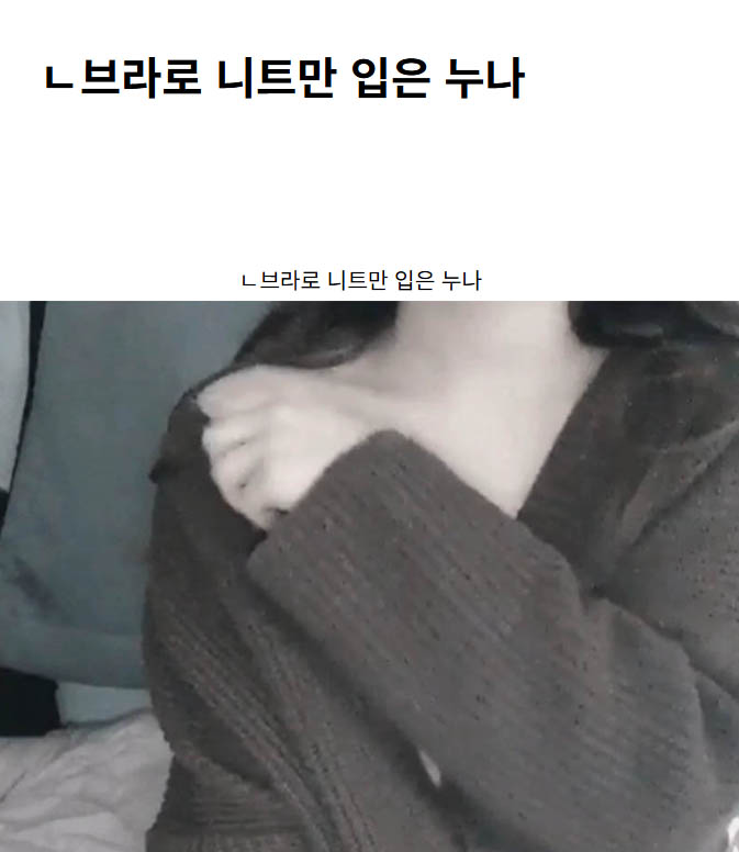 ㄴ브라로 니트만 입은 누나