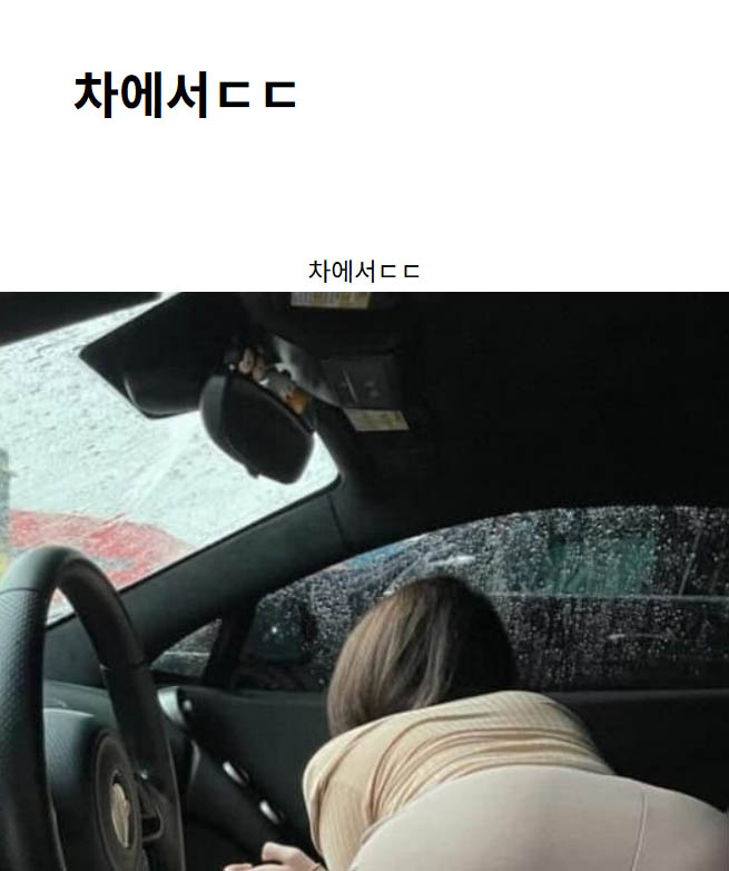 차에서ㄷㄷ