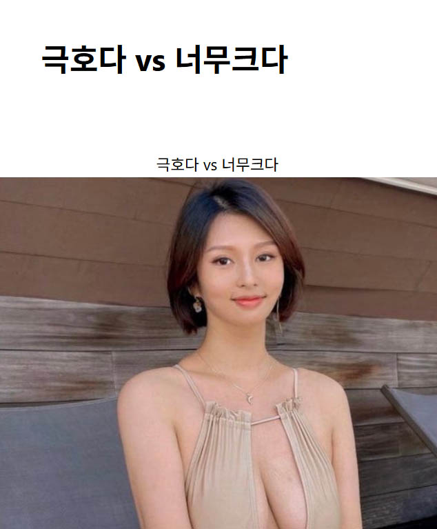 극호다 vs 너무크다