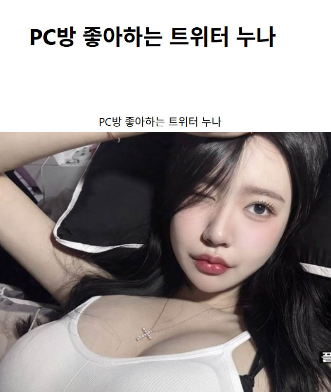 PC방 좋아하는 트위터 누나