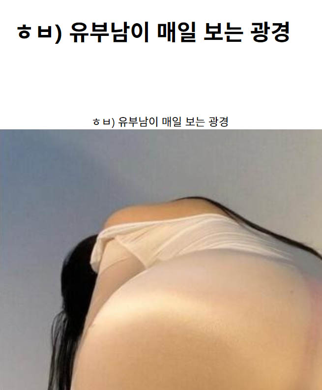 ㅎㅂ) 유부남이 매일 보는 광경
