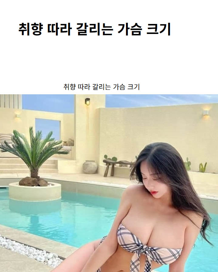 취향 따라 갈리는 가슴 크기