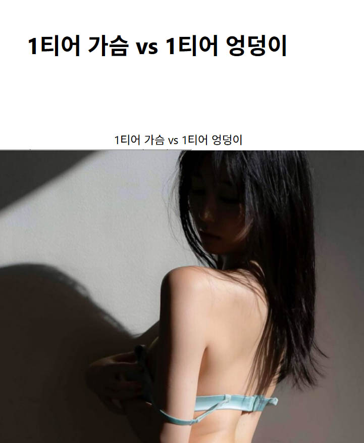 1티어 가슴 vs 1티어 엉덩이