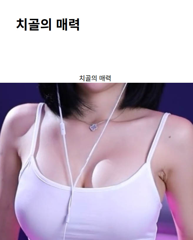 치골의 매력