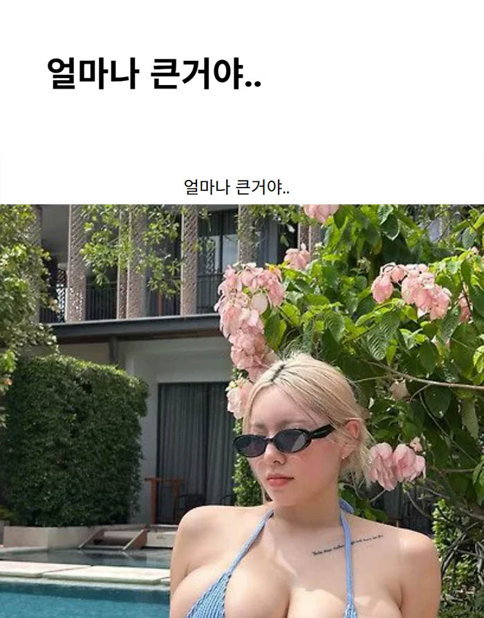 얼마나 큰거야..