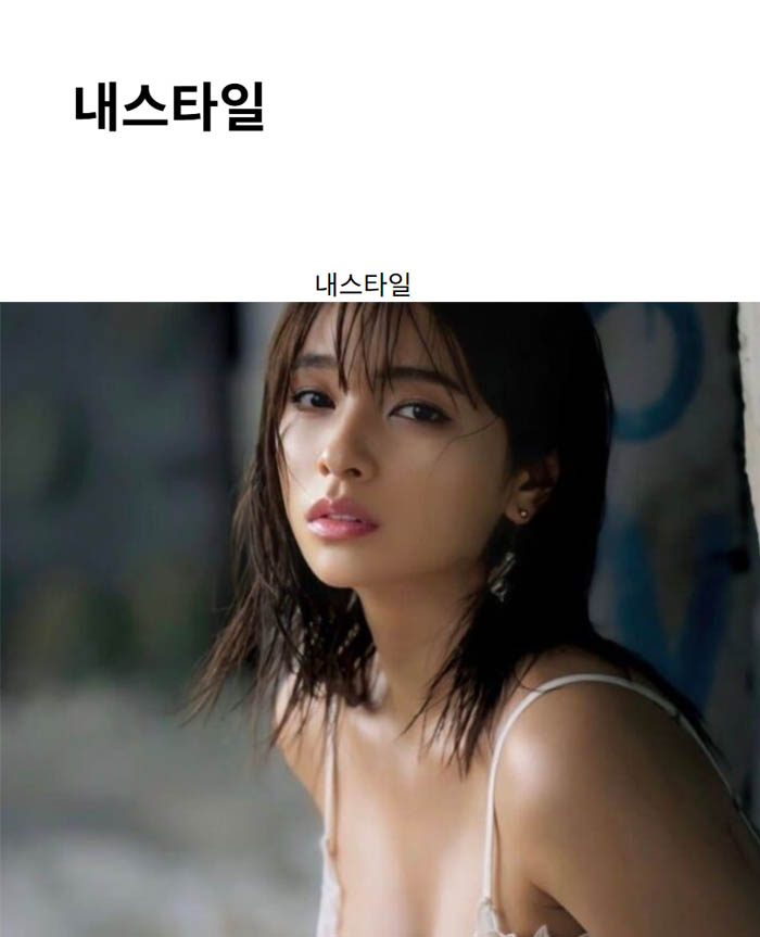 내스타일