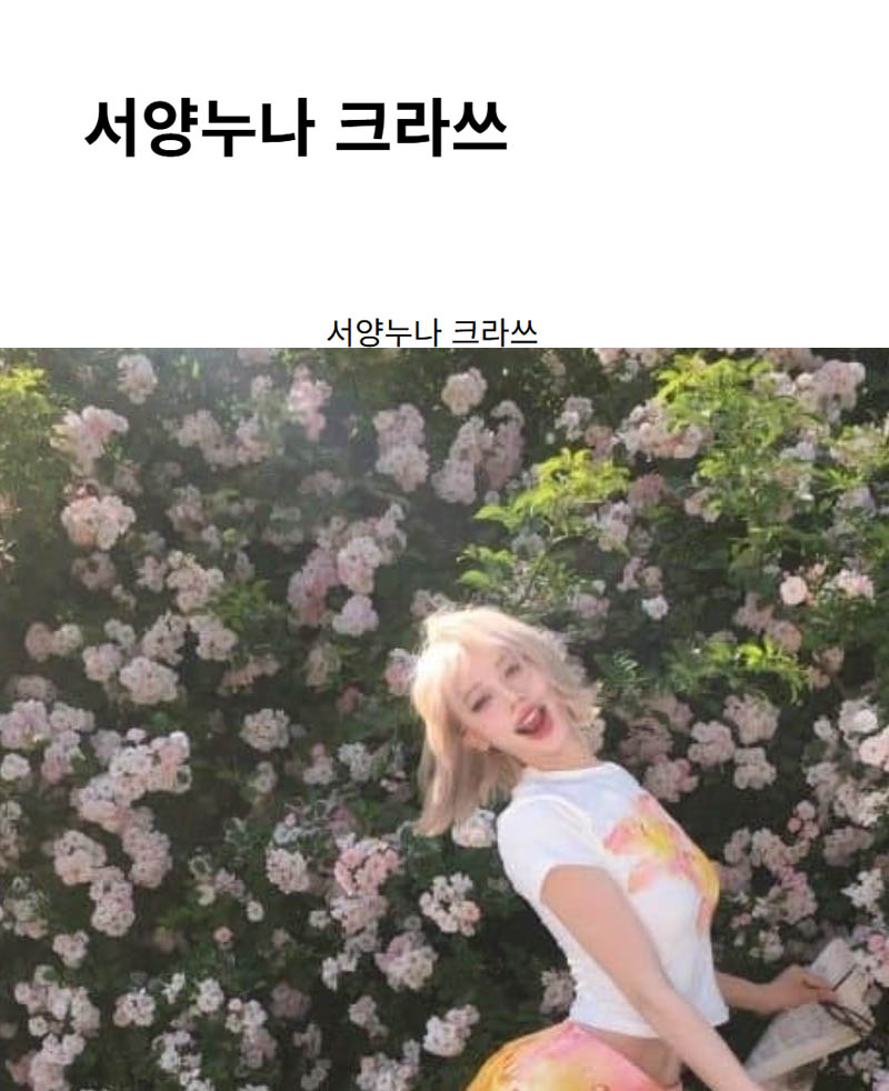 서양누나 크라쓰