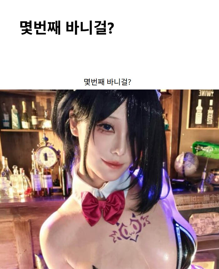 몇번째 바니걸?