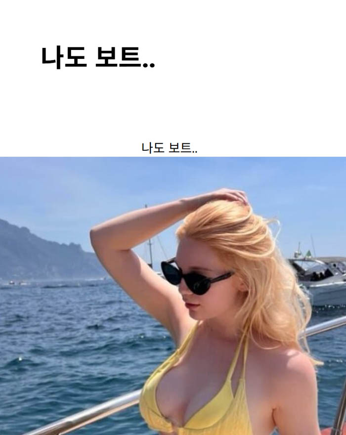 나도 보트..