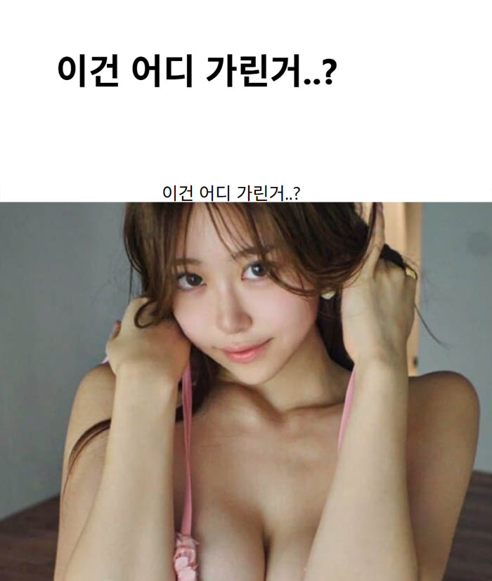 이건 어디 가린거..?