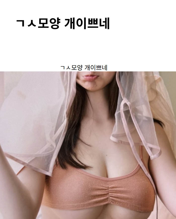ㄱㅅ모양 개이쁘네
