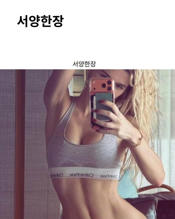서양한장
