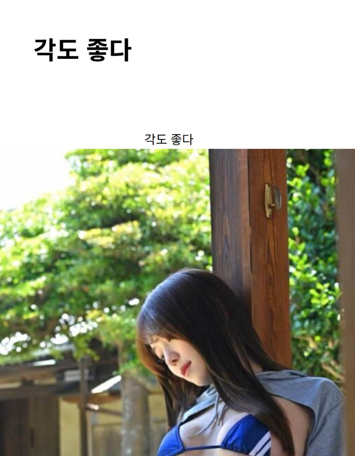 각도 좋다