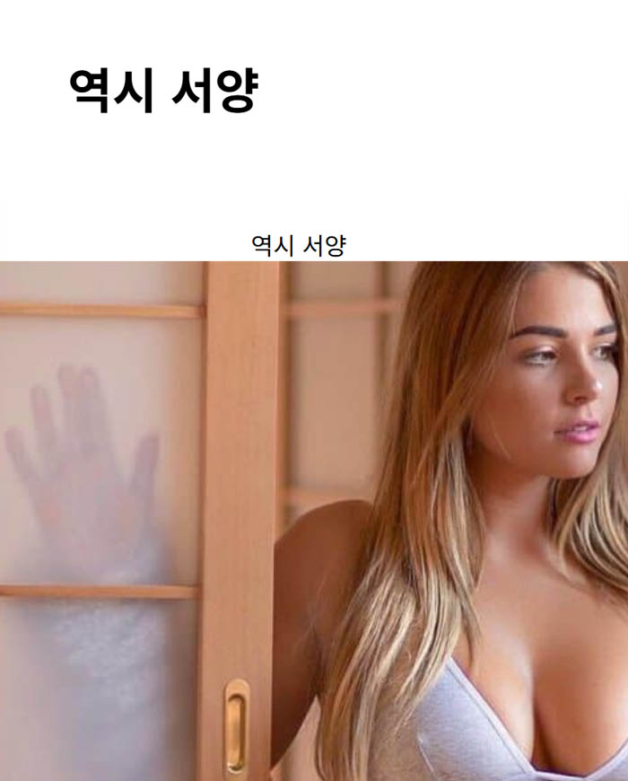역시 서양