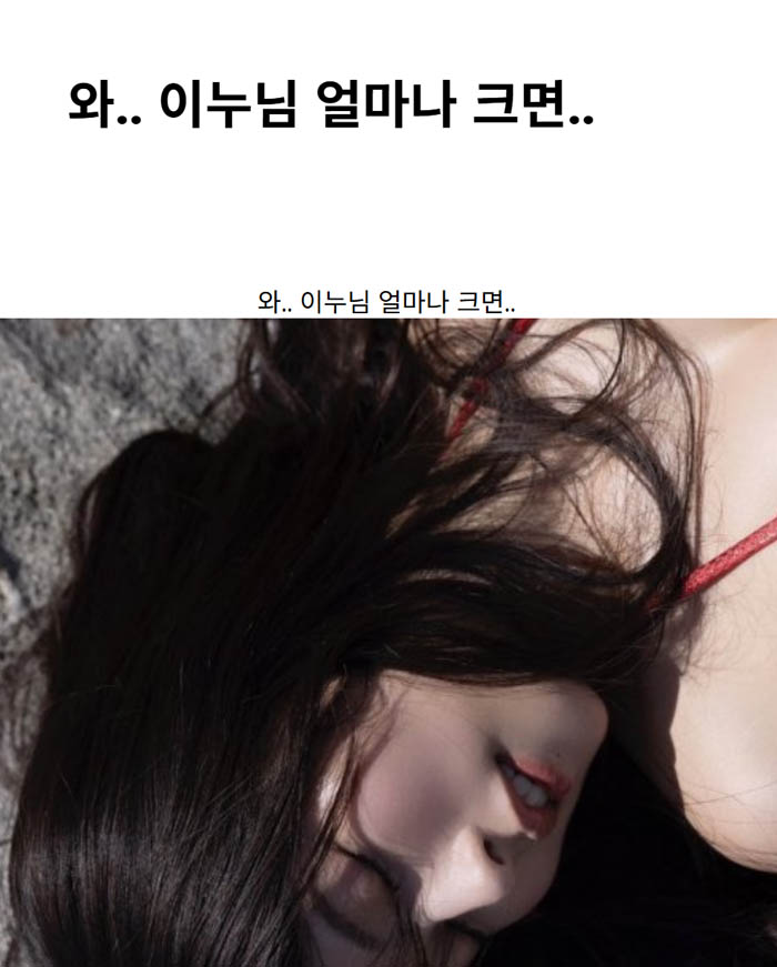 와.. 이누님 얼마나 크면..