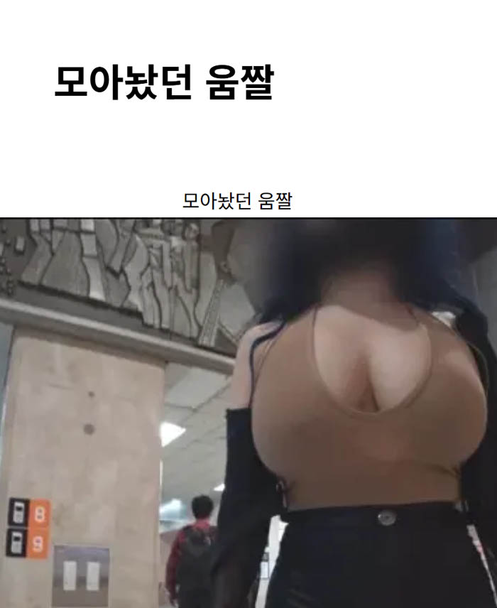 모아놨던 움짤