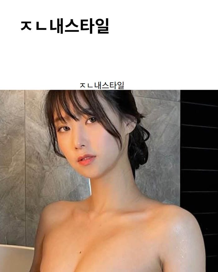 ㅈㄴ내스타일
