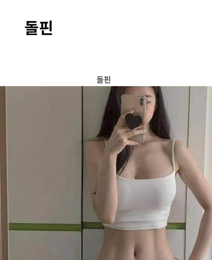돌핀