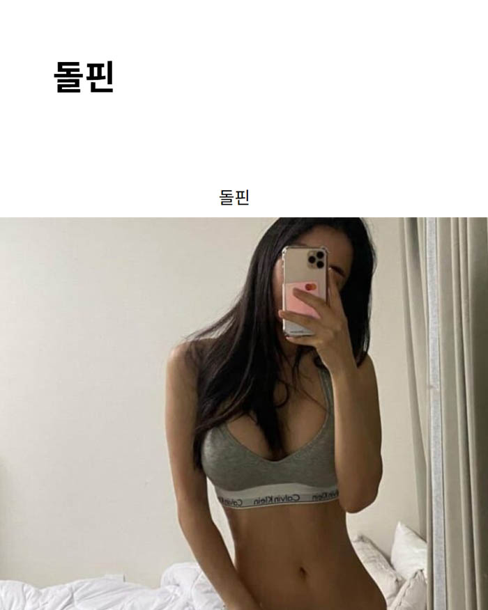 돌핀