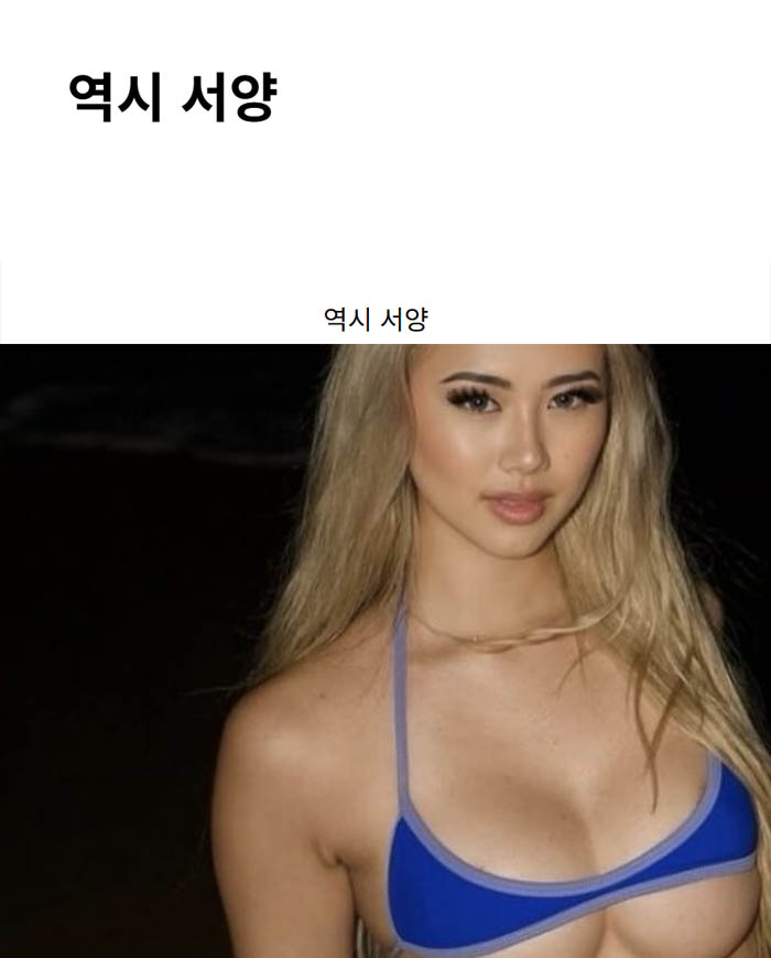 역시 서양