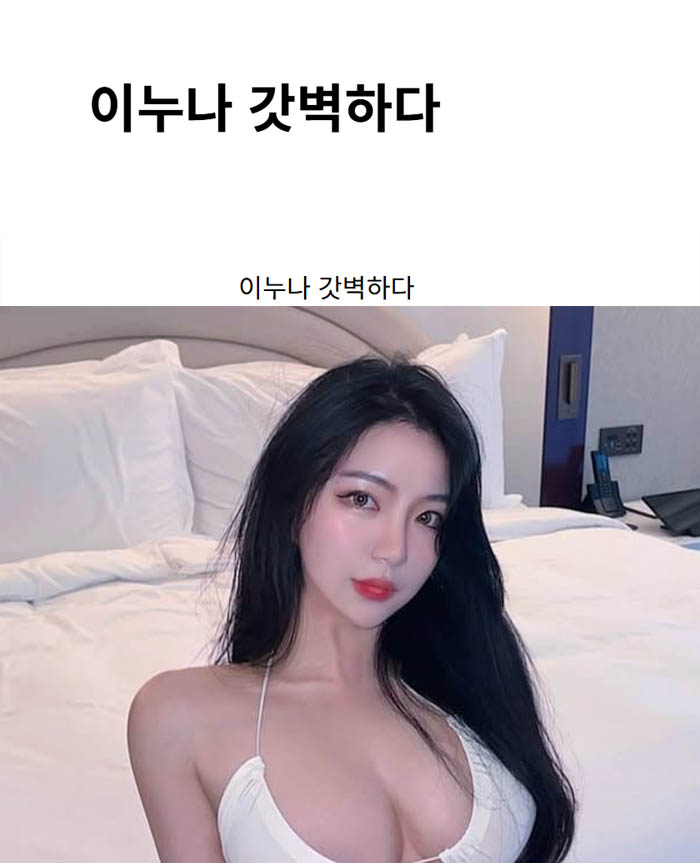 이누나 갓벽하다