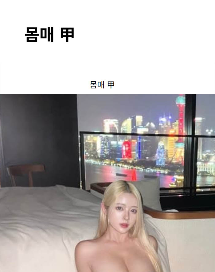 몸매 甲