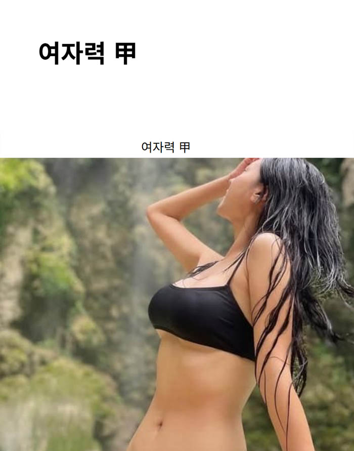 여자력 甲