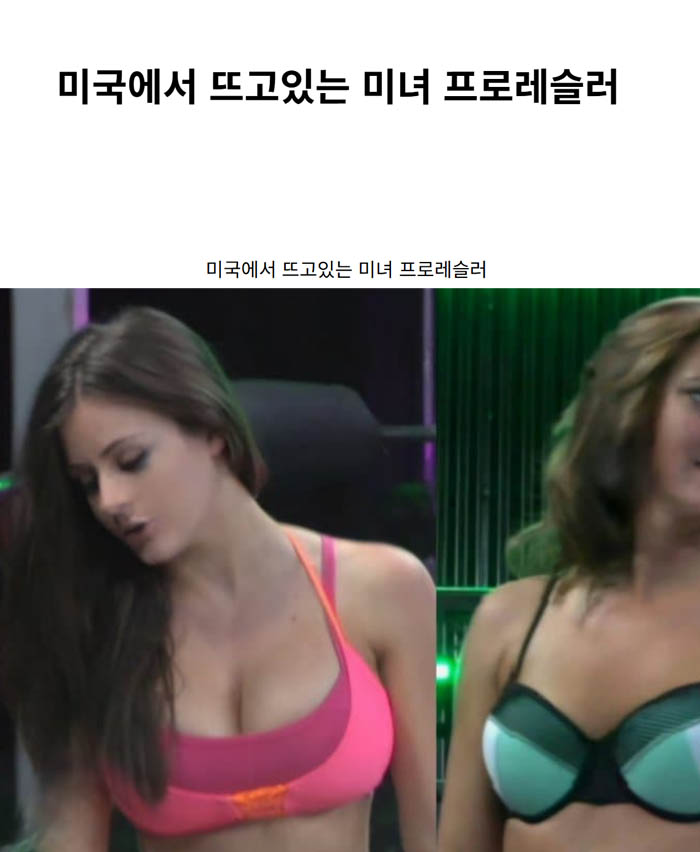 미국에서 뜨고있는 미녀 프로레슬러