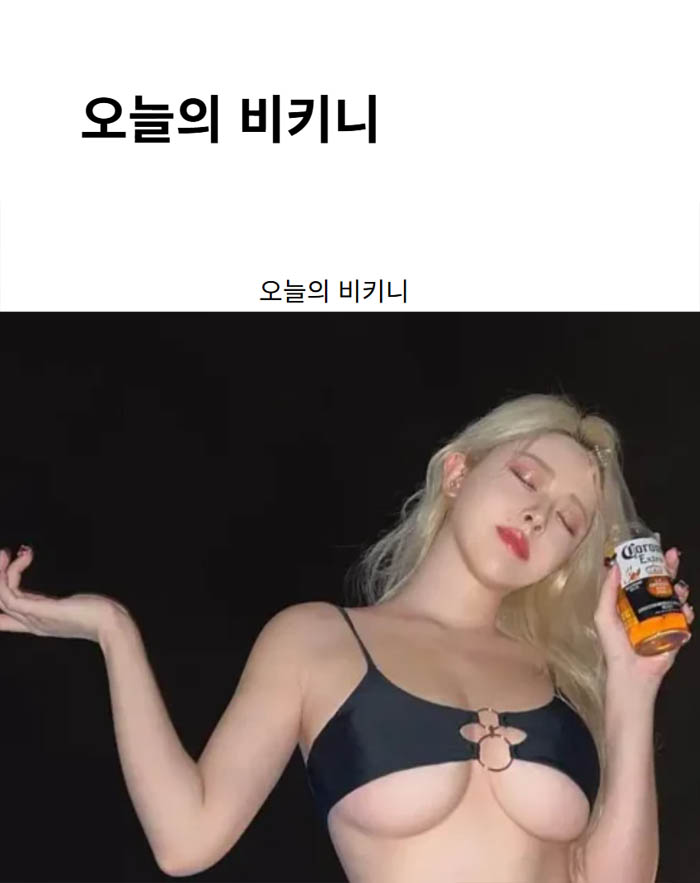 오늘의 비키니